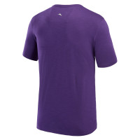 Baltimore Ravens Tommy Bahama Bali Beach T-Shirt - Purple